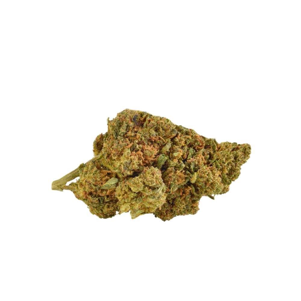 Untitled design - 2024-11-18T114102.277