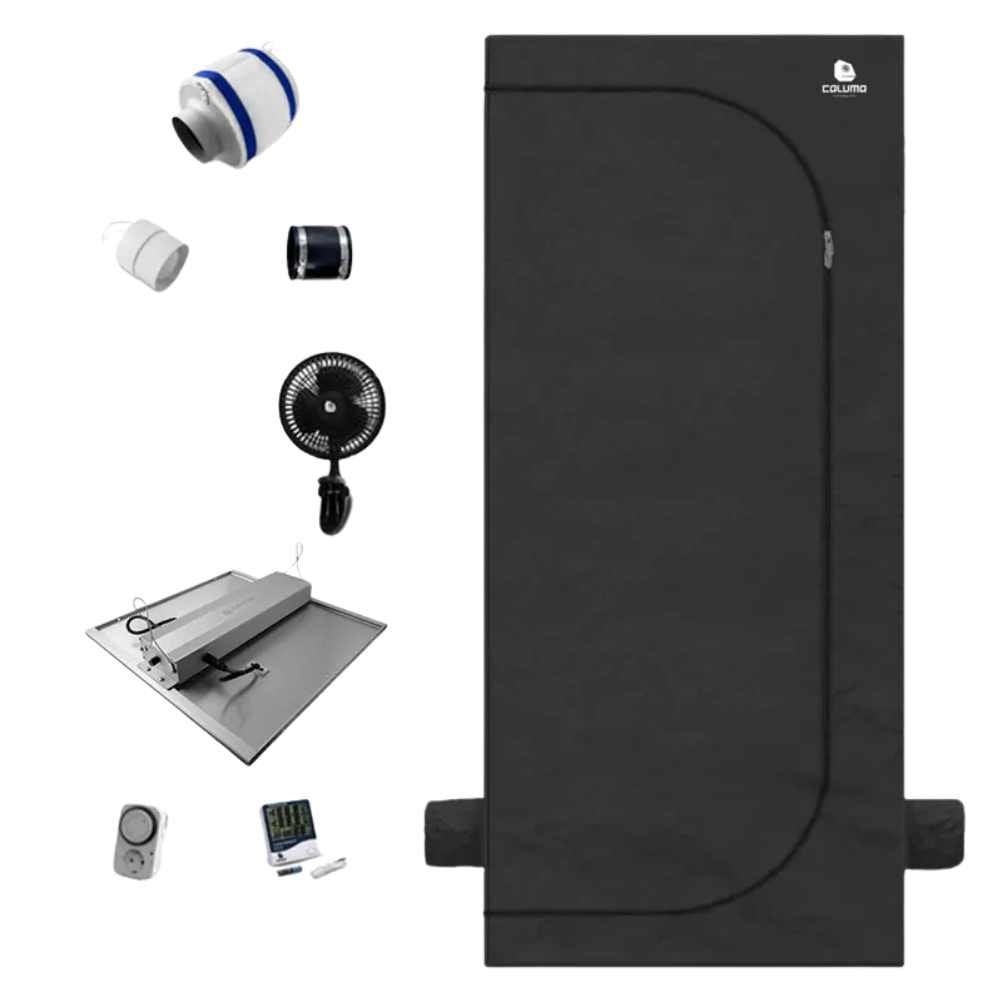 Untitled design - 2024-11-18T130353.426