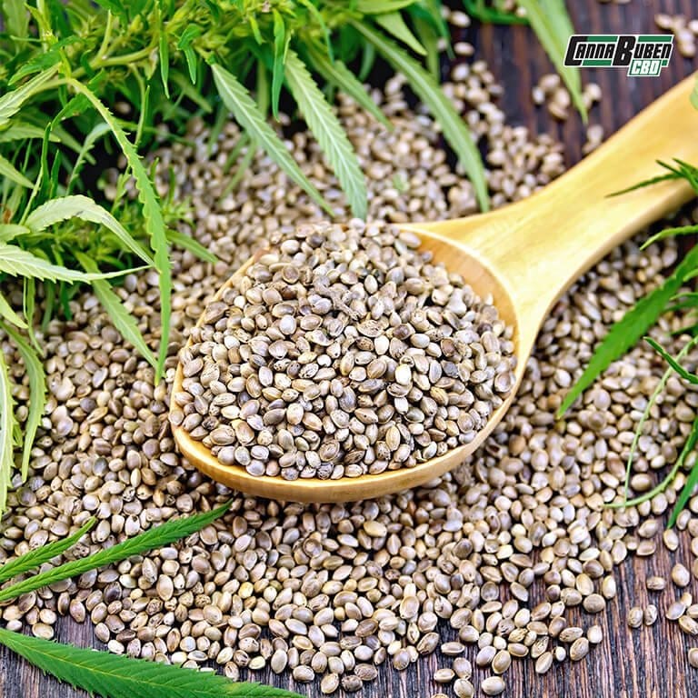 Verpackte Cannabis Samen mit Informationen zur Genetik.