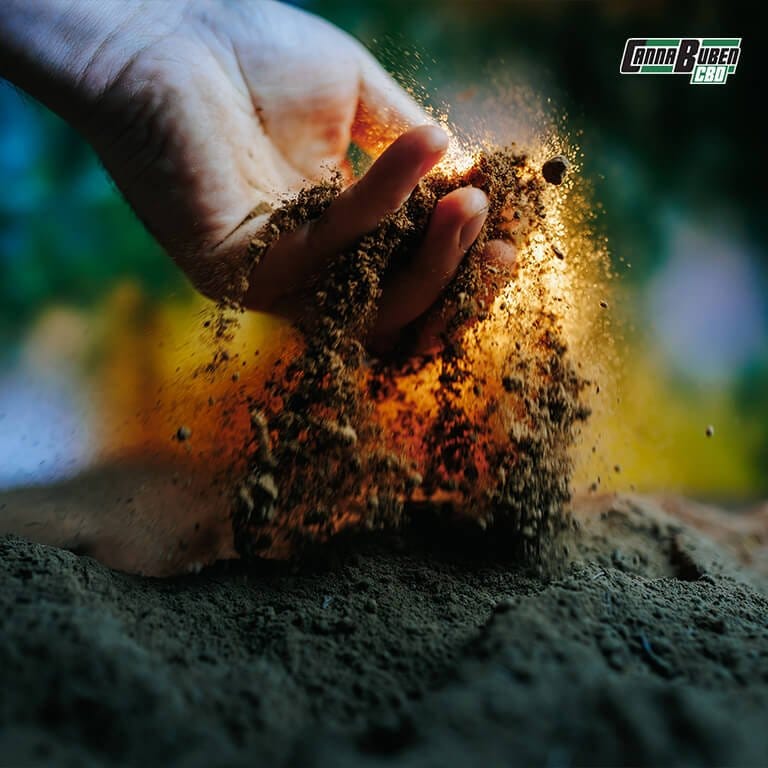 Erde mit Perlite und Kokosfasern für Cannabispflanzen.