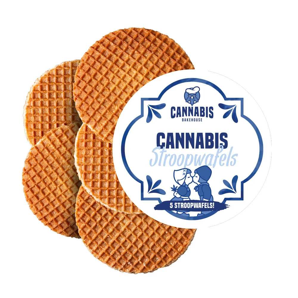 Untitled design - 2024-12-04T212856.716