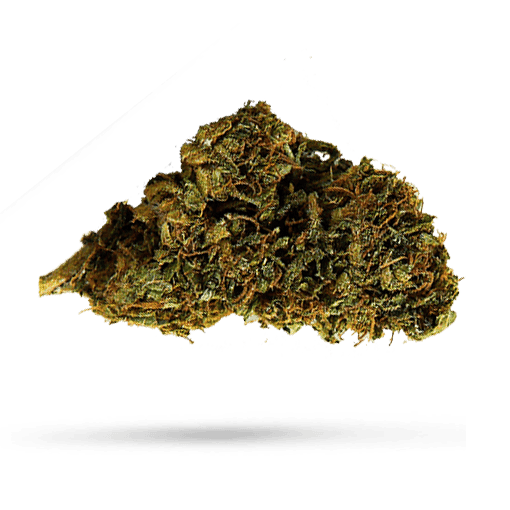 420 Evolution 20/1 CA PLD