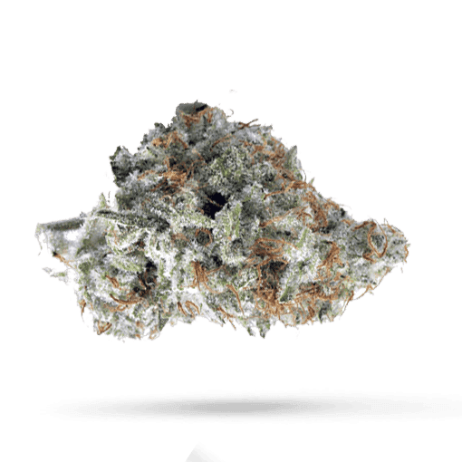 420 Evolution 25/1 CA ICC
