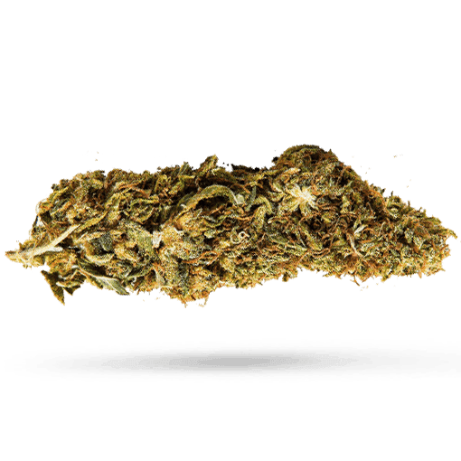 420 Evolution 271 CA ICC