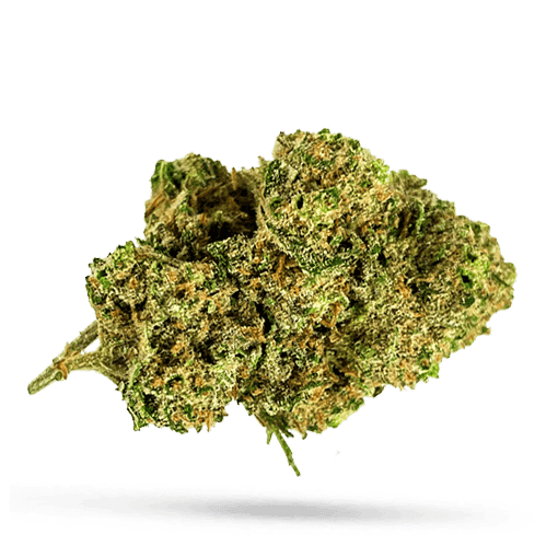 420 Evolution 27/1 CA STR