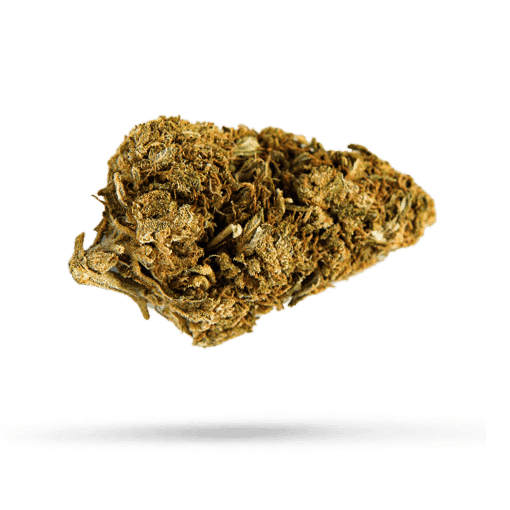 420 Evolution 27/1 CA WES