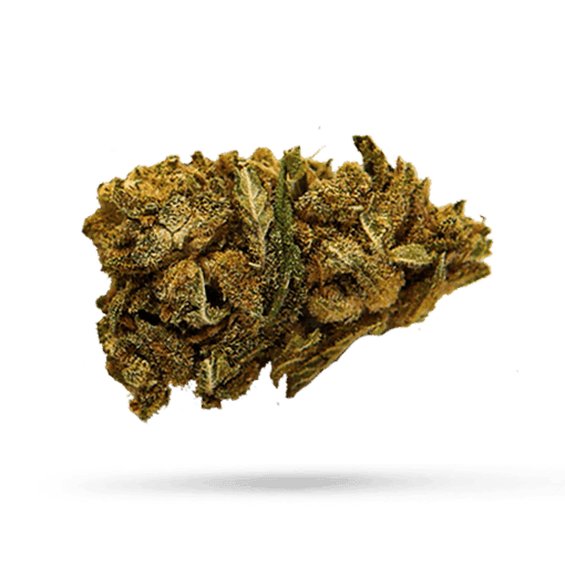 Cantourage LOT 420 OC