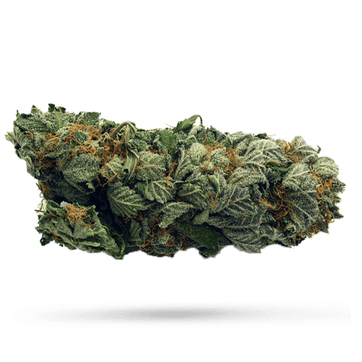 27/1 Amici Cannabisbl&uuml;ten SB