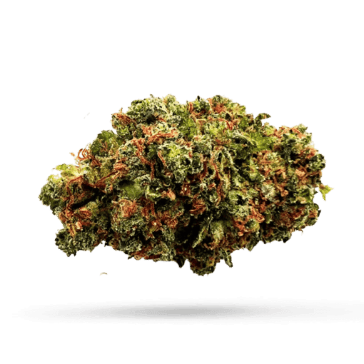 Cannamedical Sativa forte