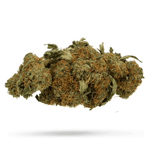 Adrex 26/1 Cannabis flos SK CAN