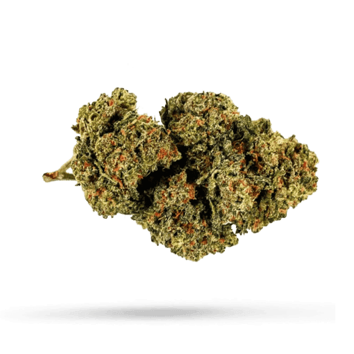 Tilray THC 25 Spotlight Montevideo