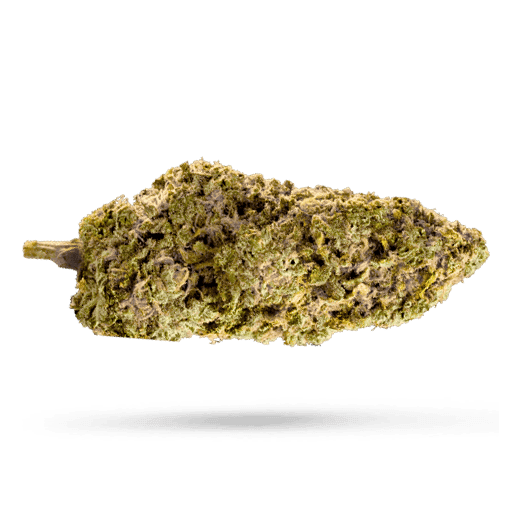420 Evolution 30/1 CA TGP