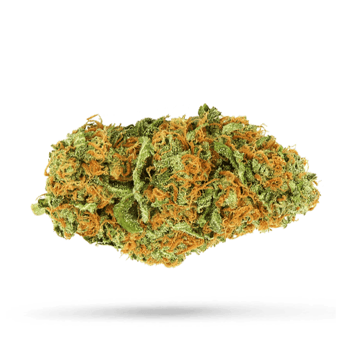 Cannamedical Indica Ultra