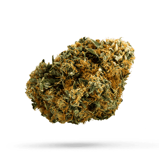 Cannamedical Indica forte