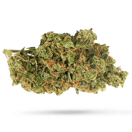 Cannamedical Sativa classic