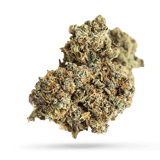 Cannamedical Sativa forte MA