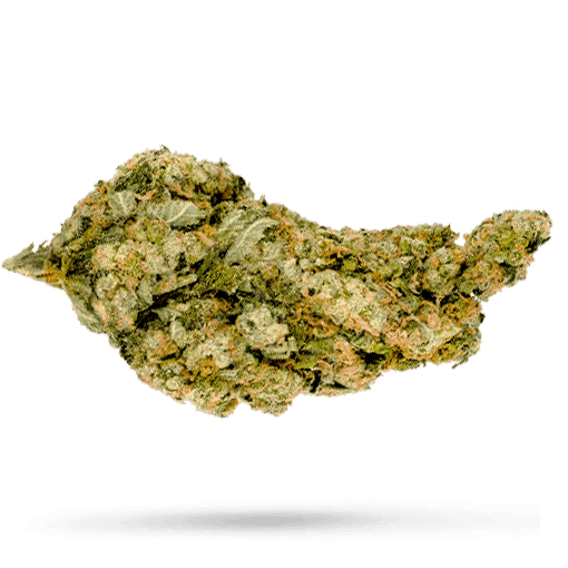 Cannamedical Sativa forte NM