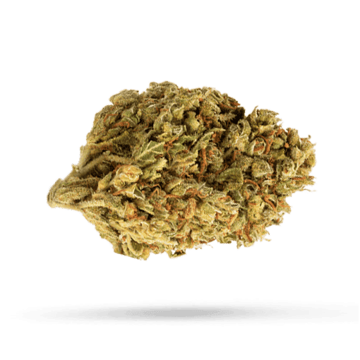Canopy AKH 22