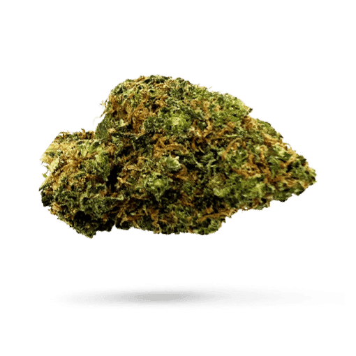 Canopy LSK 16