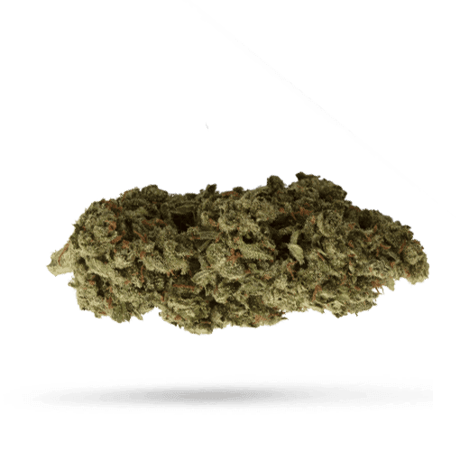 Cantourage Ostara Nova