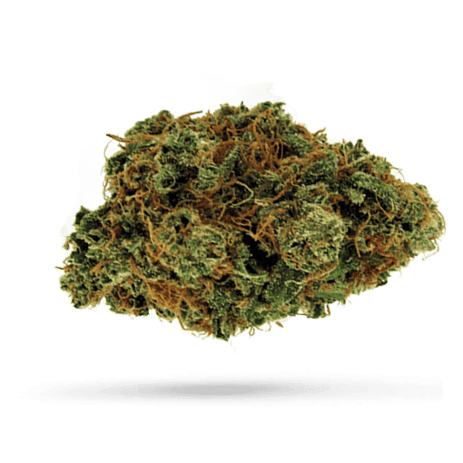 Cantourage Ostara Solar