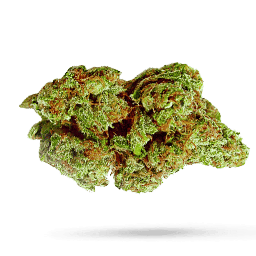 Demecan 24:01 Tricolo