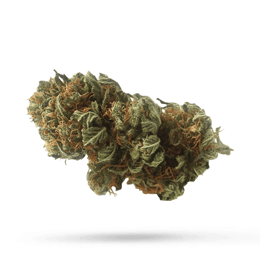 Demecan CRAFT zoero 22:01