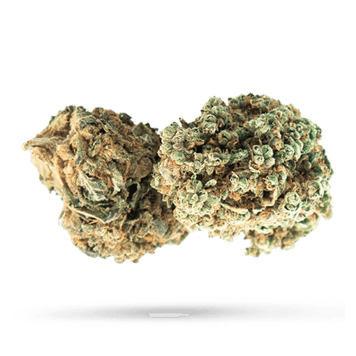 Tilray THC 25 Spotlight Porto