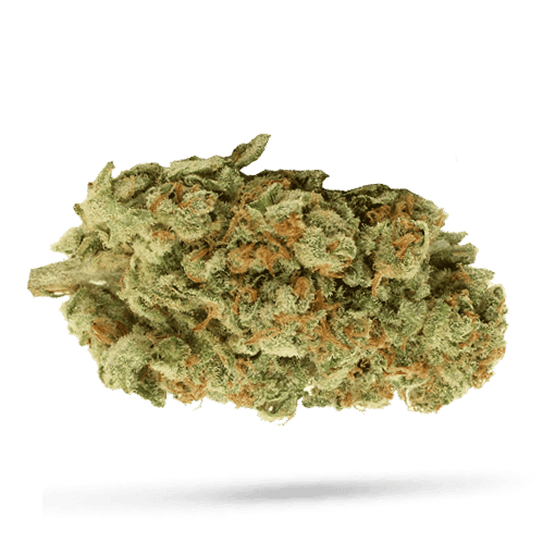 IMC Cannabisbl&uuml;ten THC20 T01