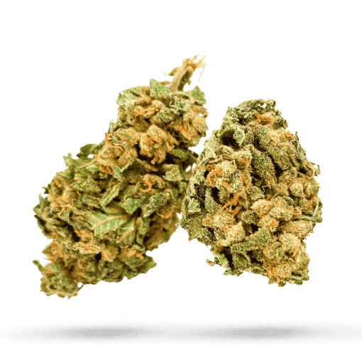 IMC Cannabisbl&uuml;ten THC25 T04