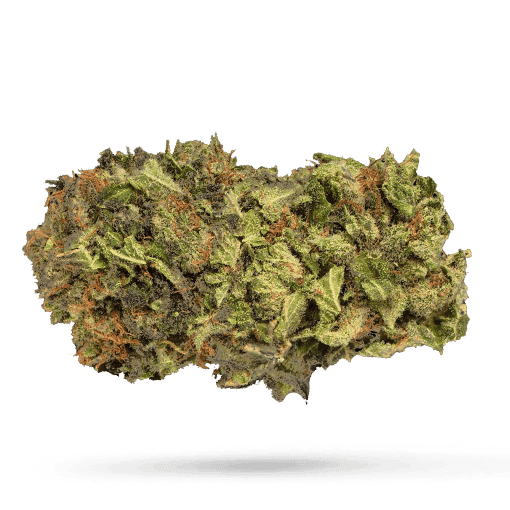 LOT 420 GLT
