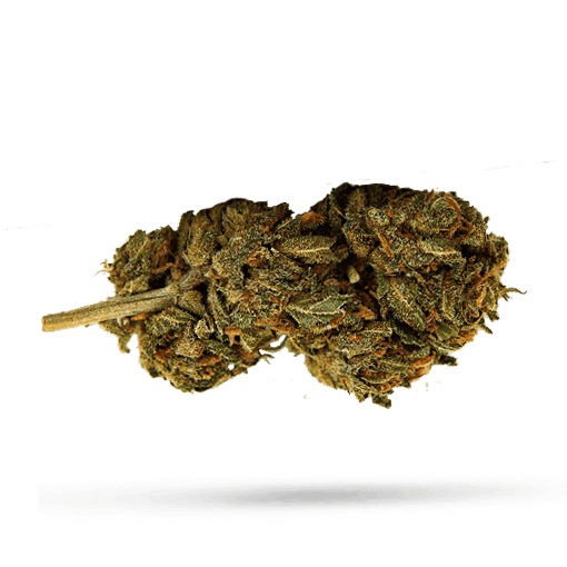 Mac 2+