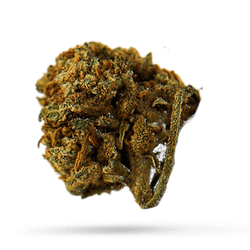 IMC Cannabisbl&uuml;ten THC22 T02