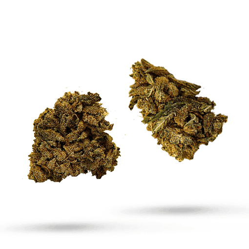 Cannamedical Indica forte MA