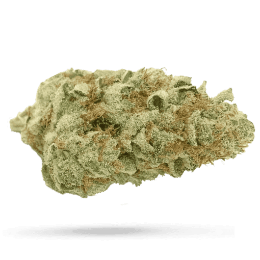 IMC Cannabisbl&uuml;ten THC21 T01