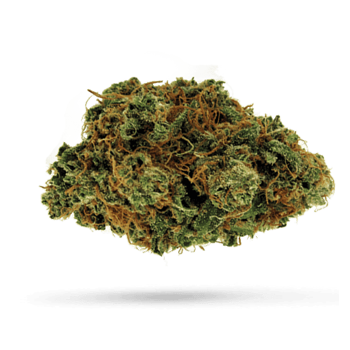 Tilray THC 22 Spotlight Porto Rockstar