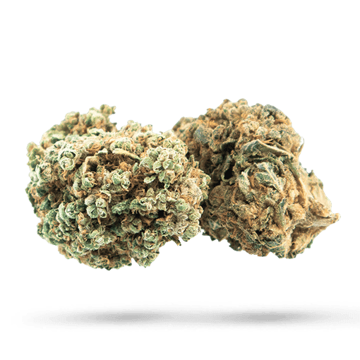 Tilray THC 22 Spotlight Porto Sour Diesel