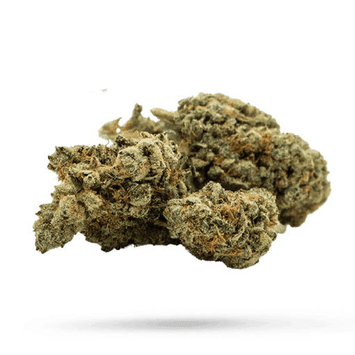 Tilray THC 22 Spotlight Porto