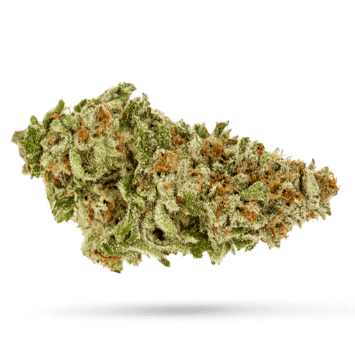 Tilray THC 25 Spotlight Porto Galaxy Walker OG