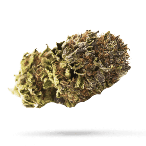 Tilray THC 25 Spotlight Porto Island Sweet Skunk