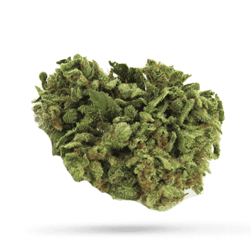 Tilray THC 25 Spotlight Porto Mango