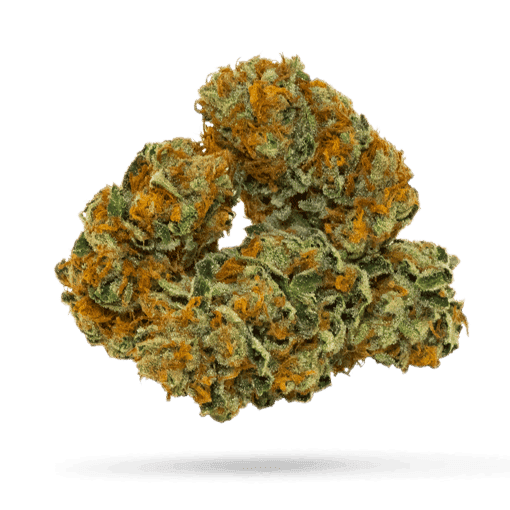 Mediprocan Smaragd 22/1